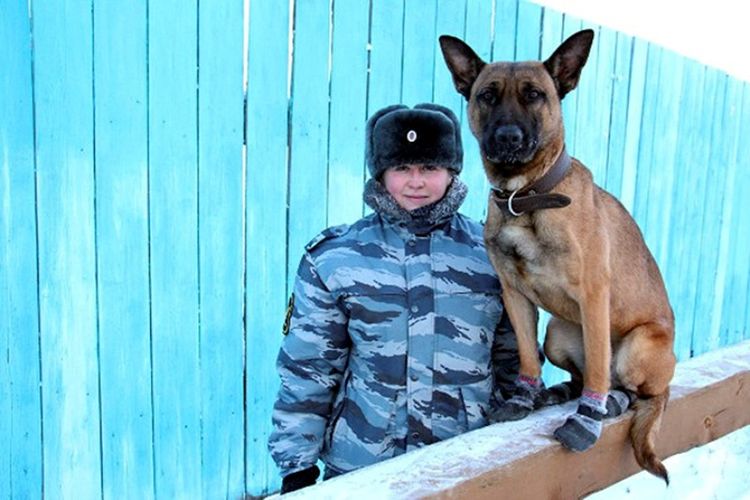 Salah satu anjing penjaga hasil klon laboratorium di Seoul yang dirawat dan dilatih oleh tentara Rusia.