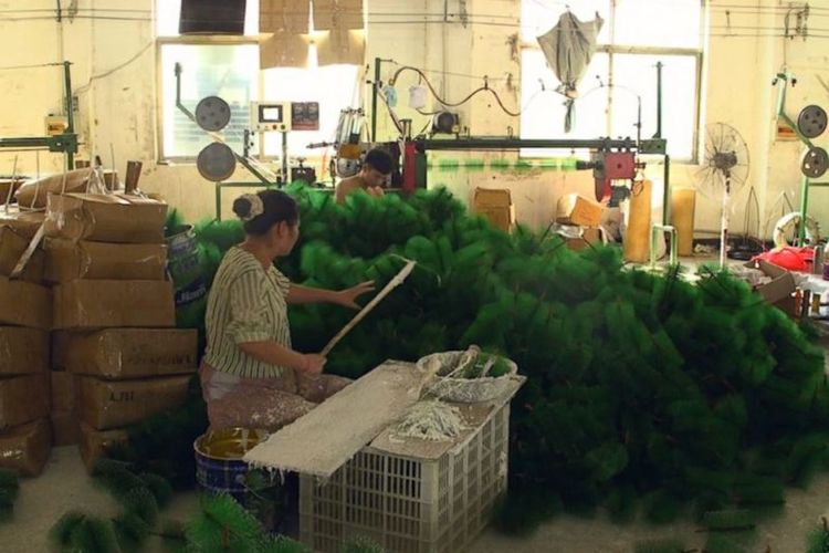 Seorang pekerja pabrik di Yiwu, China, sedang menyusun pohon Natal. (ABC)
