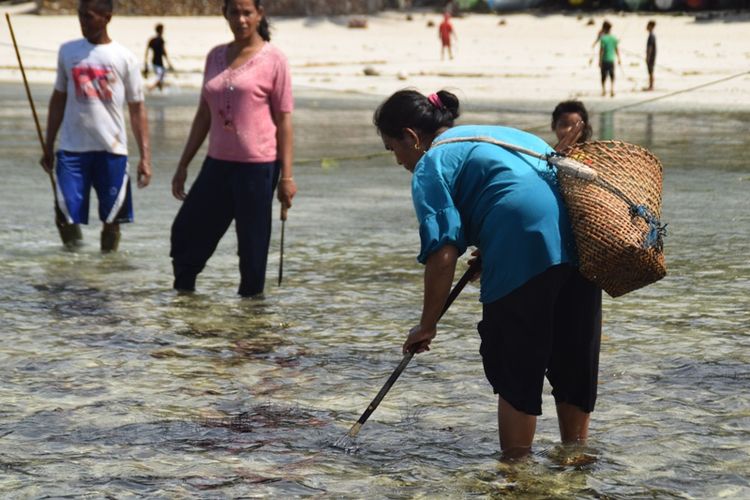 Seorang warga Desa Bahari, Kecamatan Sampolawa, Kabupaten Buton Selatan, Sulawesi Tenggara, berusaha menangkap ikan dengan menggunakan tombak. Kegiatan ini merupakan tradisi Pindokoa yang telah ratusan tahun lalu hingga saat ini masih terus dilestarikan