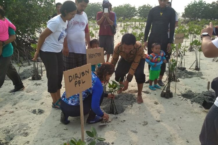 Menteri Kelautan dan Perikanan Susi Pudjiastuti ikut menanam di hutan mangrove Pulau Pari pada Minggu (22/7/2018).