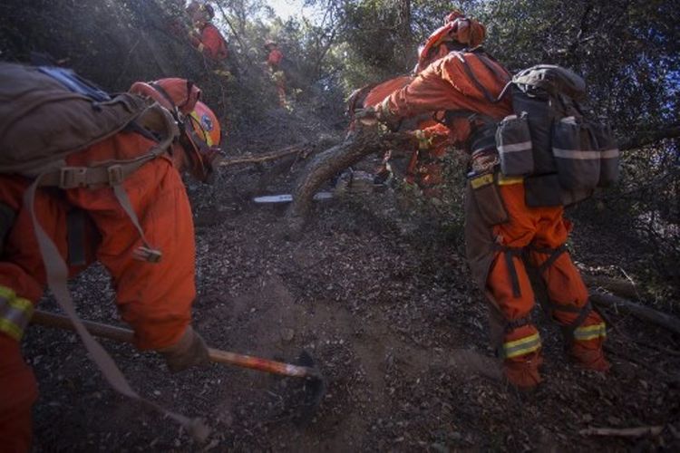 Tahanan menjadi bagian dari regu pemadam kebakaran di bawah otoritas Departemen Pemadam Kebakaran California. Dalam foto ini, mereka menaiki lereng bukit yang curam. Foto diambil pada 28 September 2017 di dekat Yucaipa, California, Amerika Serikat. (AFP/David McNew)