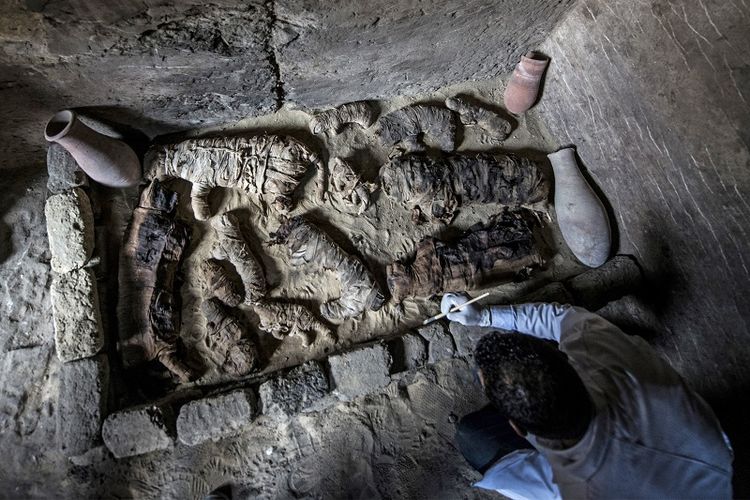 Seorang arkeolog sedang membersihkan beberapa mumi kucing yang ditemukan di komplek pemakaman Raja Userkaf di Saqqara, sebelah selatan Kairo.
