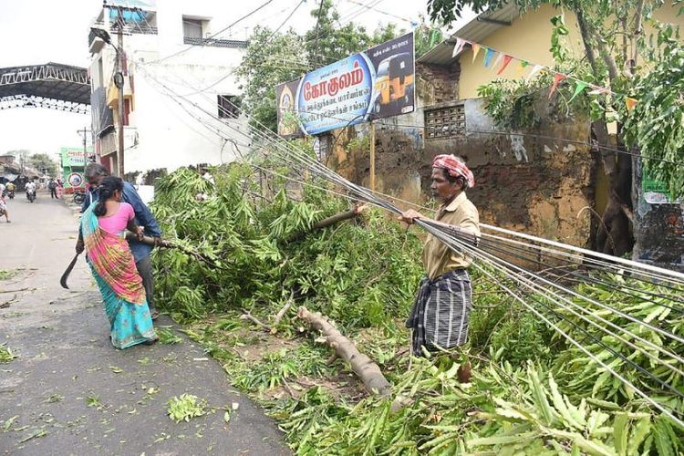 Banyak pohon tumbang akibat siklon Gaja yang meluluhlantakan wilayah pesisir India, seperti di negara bagian Tamil Nadu, Jumat (16/11/2018). (AFP via Yahoo)