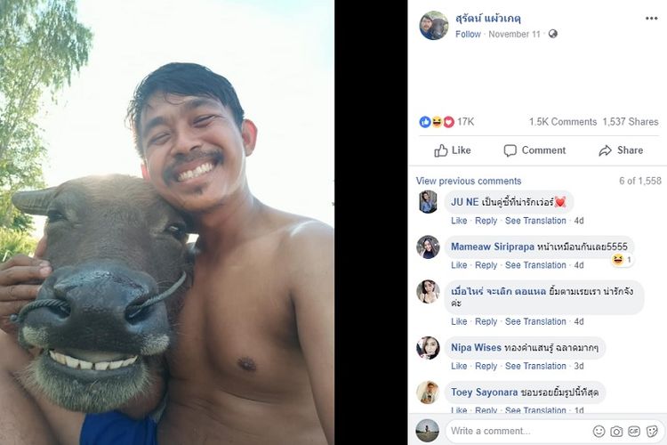 Petani di Chainat, Thailand, bernama Surat Paewkate ini bersahabat dengan seekor kerbau yang diberi nama Thong Kham. Banyak warganet yang bahagia melihat foto-foto keduanya. (Facebook/Surat Paewkate)