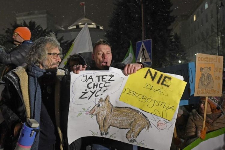 Aktivis yang memegang kertas bertuliskan Pembantaian babi hutan dan Saya ingin hidup juga melakukan demonstrasi di depan parlemen Polandia di Warsaw, Rabu (9/1/2019). (AFP/Janek Skarzynski)