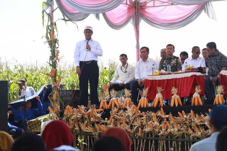 Pada panen jagung kali ini di Kabupaten Lamongan hingga pekan ketiga Februari 2019 telah mencakup areal kebun seluas 11.395 hektar. 