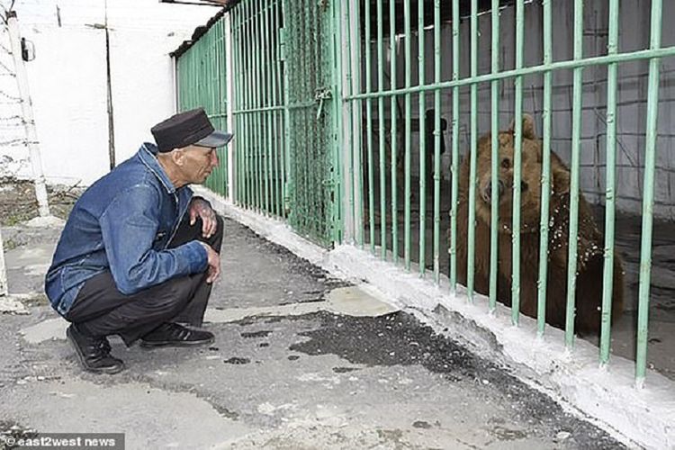 Ekaterina atau Katya. Seekor beruang coklat betina yang dipenjara seumur hidup di Kazakhstan karena menyerang dua orang pada 2004.