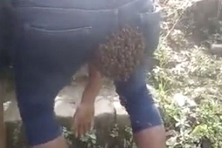 Potongan gambar memperlihatkan ketika kawanan lebah hinggap di pria di India.
