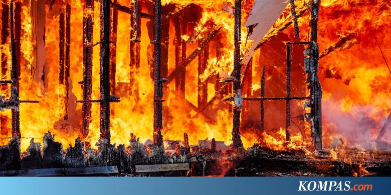 Hutan dan Lahan Milik Pertamina RU II Dumai Terbakar