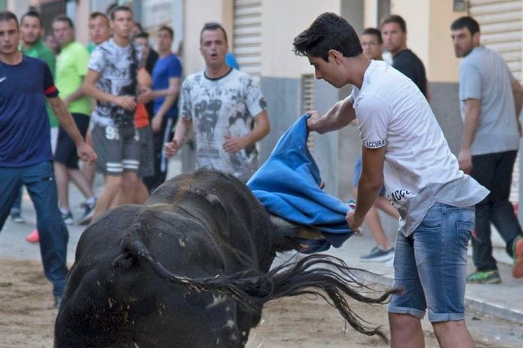 Fran Gonzalez, remaja berusia 19 tahun, ketika menangani banteng dalam sebuah festival. Dia dilaporkan tewas setelah diseruduk banteng di kawasan Castellon, Spanyol.