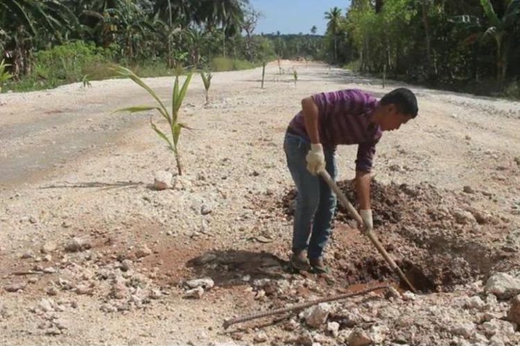 Warga Kelurahan Wandoga, Kecamatan Wangi-wangi,  Kabupaten Wakatobi, Sulawesi Tenggara ramai-ramai menanam kelapa dan pisang di tengah jalan. Aksi warga tersebut merupakan aksi protes terhadap pemerintah daerah yang belum membayar ganti rugi lahan warga yang telah dijadikan jalan keliling pulau Wangi-wangi.