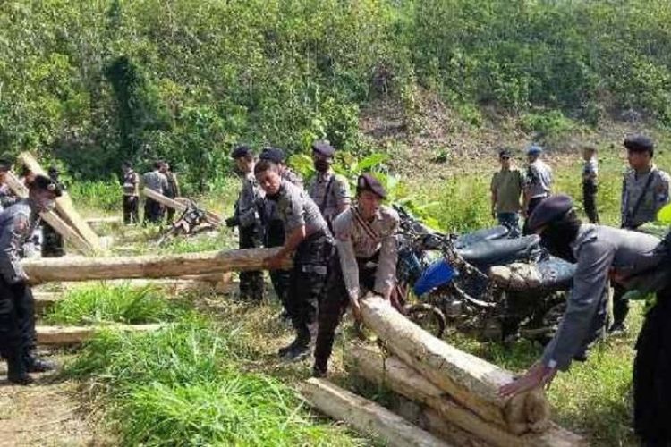 Ilustrasi barang bukti pencurian kayu di Jawa Timur.