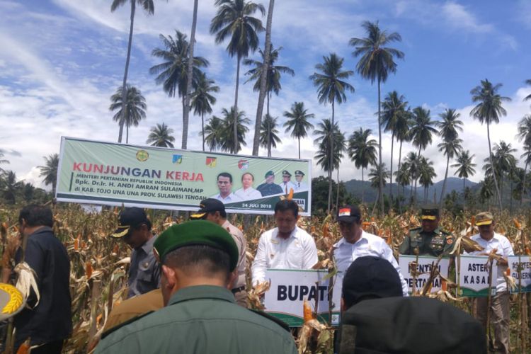 Menteri Pertanian Andi Amran Sulaiman melakukan kunjungan kerja sekaligus panen raya di Kabupaten Tojo Una Una, Sulawesi Tengah, Selasa (24/7/2018)