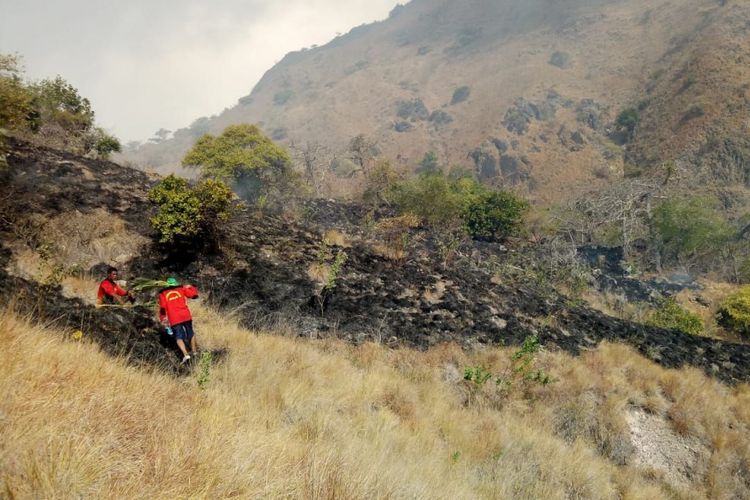 Lokasi 10 hektar padang rumput di seputaran Pulau Komodo, Nusa Tenggara Timur (NTT), yang terbakar.