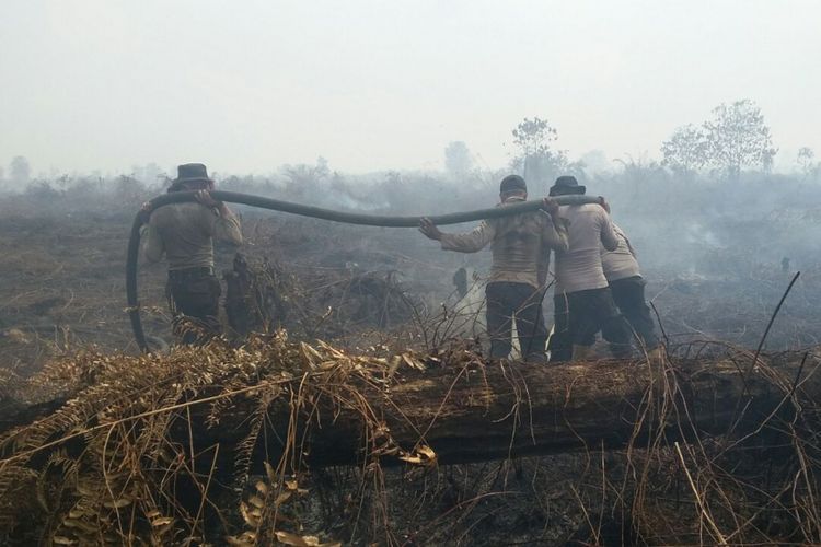 Petugas kepolisian melakukan pemadaman api pada sebuah lahan yang terbakar di Riau. Kompas.com/dok. Polda Riau