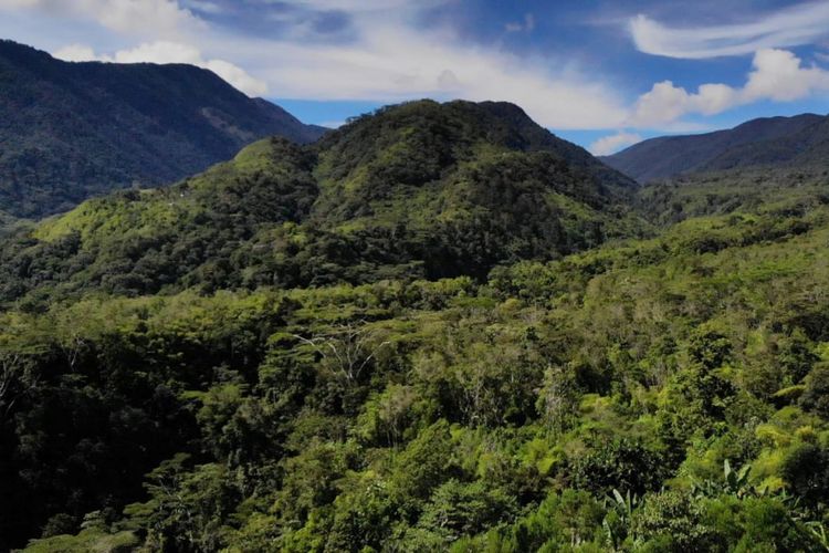 Bentang alam Kampung Kwau, titik masuk sungai tim pengarung Mapala UI di Papua Barat. 