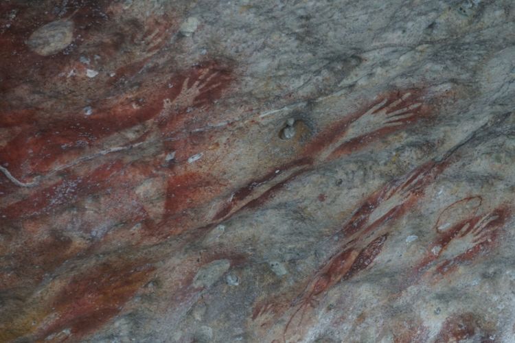 Selain lukisan cap tangan di Situs Tapurarang berwarna merah, terdapat juga lukisan yang mirip hewan.