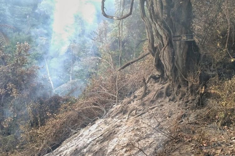 Api membakar kawasan Pos 4 Nyamplung jalur pendakian Gunung Slamet via Penakir, Kecamatan Pulosari, Pemalang dengan ketinggian sekitar 2.400-2.600 mdpl, Rabu (19/9/218). 