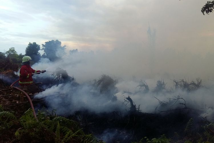Kebakaran lahan gambut di pekanbaru pada juni 2018 di sekitar kawasan pemukiman warga.