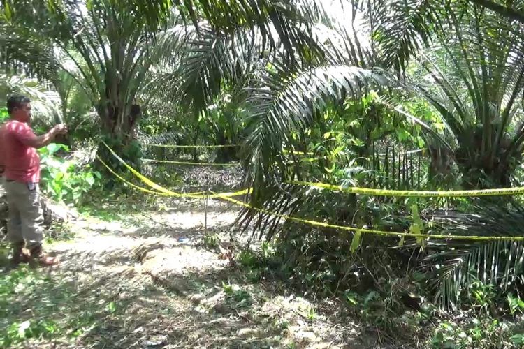 Lokasi pembunuhan korban kelas 1 siswi  MI di desa Parumpanai kecamatan Wasuponda, kabupaten Luwu Timur, Sulawesi Selatan, Kamis (1/11/2018)