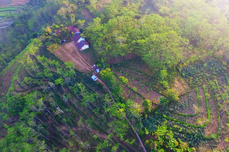 Inilah SDN Darsono 4, Kecamatan Arjasa, Kabupaten Jember, Jawa Timur, Ketika Diambil Dari Foto Udara.