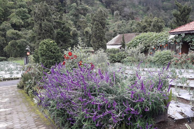 Suasana Desa Wisata Samiran, Boyolali, Jawa Tengah.