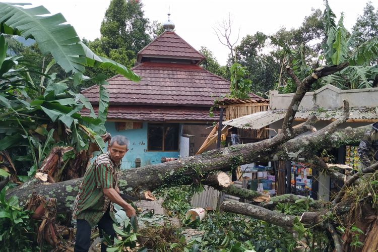 Seorang warga membersihkan pohon tumbang terdampak bencana angin puting beliung di Desa Lembursawah, Cicantayan, Sukabumi,Jawa Barat, Jumat (22/2/2019).