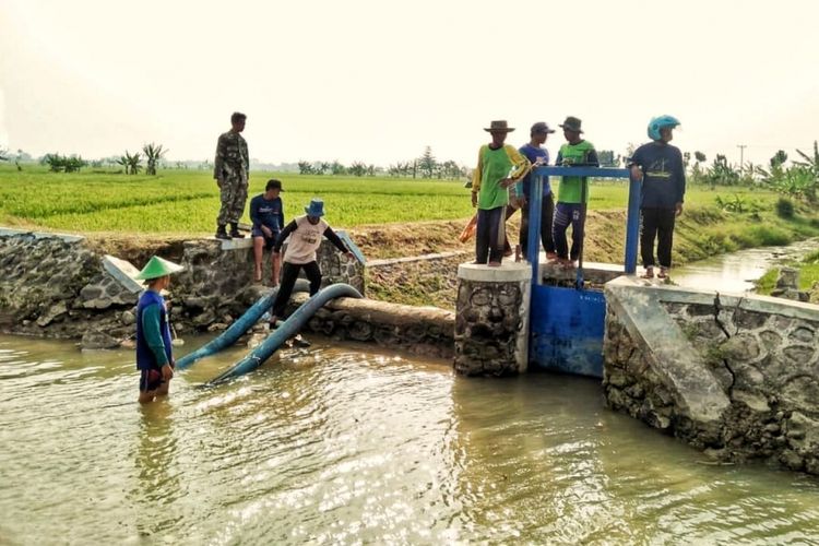 Mengatasi musim kemarau yang diprediksi mengalami puncaknya bulan Agustus dan September 2018 ini, Kementerian Pertanian telah melakukan langkah antisipatif untuk tetap menjaga produksi padi nasional.