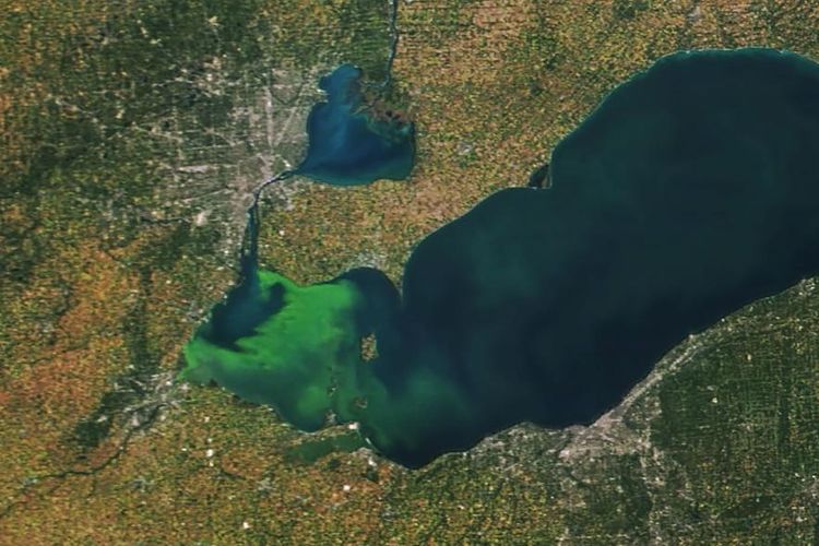 Warna oranye dan cokelat pada gambar menggambarkan tanaman dan pepohonan di daratan. Sementara itu, Danau Erie terus menampilkan nuansa warna hijau. Satelit Terra milik NASA menangkap citra alamiah kawasan ini pada akhir September.