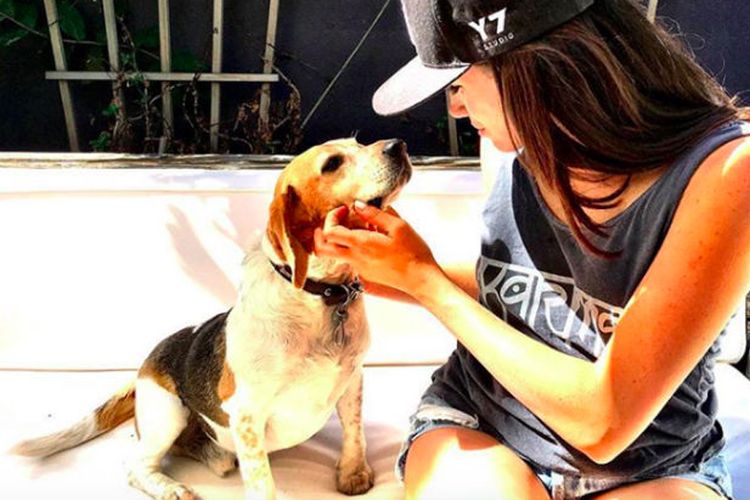 Meghan Markle bersama anjing Beagle-nya yang diberinama Guy.