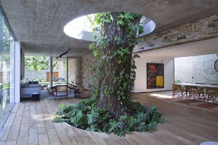 Pohon sebagai elemen alami interior yang menjadi focal point pada Beautiful Brazilian House 