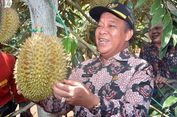 Lamongan Kepincut Kembangkan Destinasi Wisata Agro Durian