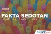 INFOGRAFIK: Fakta Sedotan Sejak 5.000 Tahun Lalu