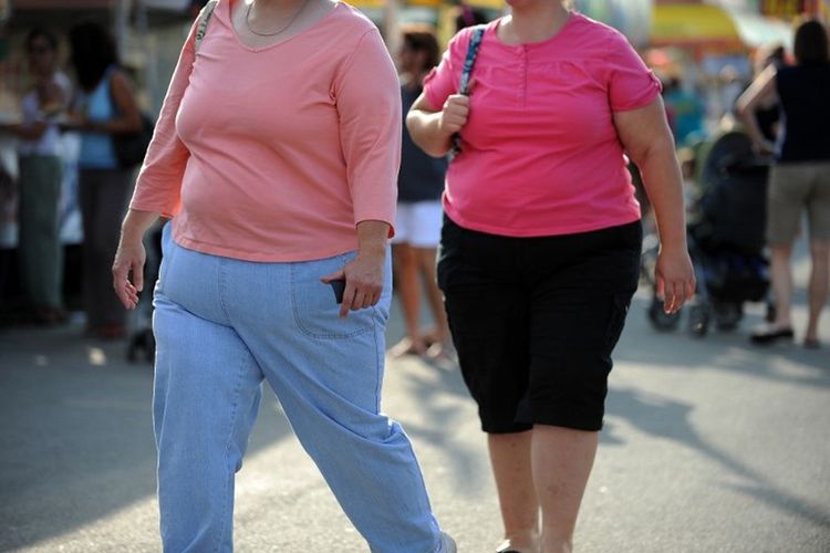 Foto ini diambil pada 19 Agustus 2009 yang menunjukkan dua wanita berjalan di Pekan Raya Pertanian Montgomery County, Gaithersburg, Maryland.