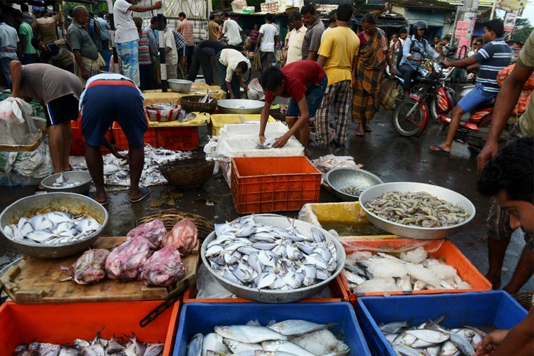 Para penjual ikan di Kolkatta, India. DIBYANGSHU SARKAR / AFP