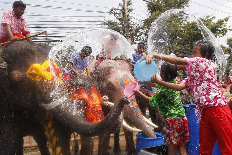 Anak-anak menciprat gajah dengan air untuk merayakan festival air Songkran