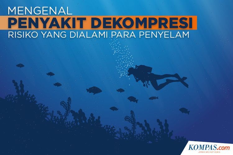 Mengenal penyakit dekompresi, risiko yang dialami para penyelam