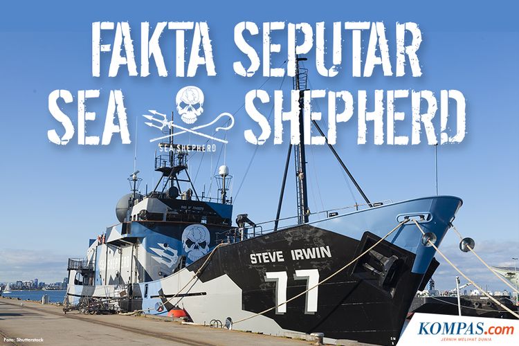 Fakta Seputar Sea Shepherd