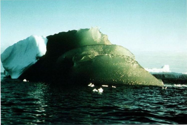 Gunung es di Antartika berwarna hijau zamrud.