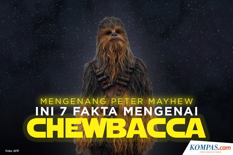 Mengenang Peter Mayhew Ini 7 Fakta Mengenai Chewbacca