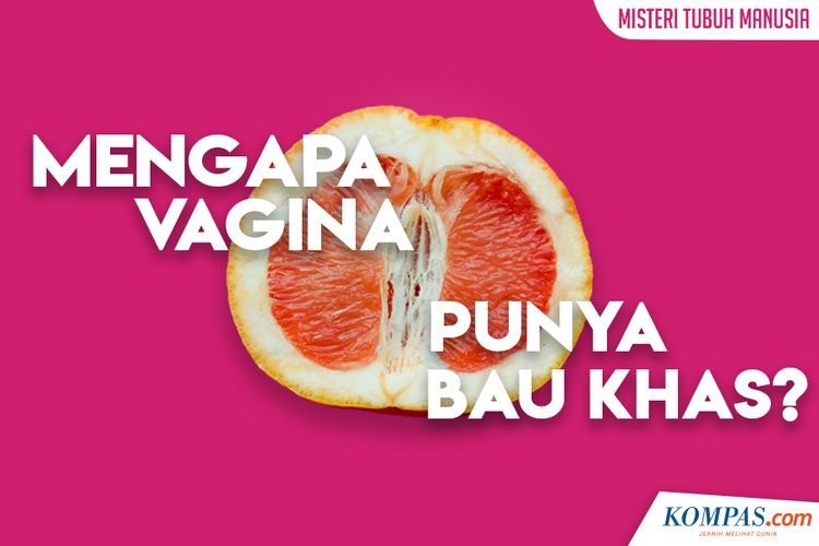 Mengapa Vagina Punya Bau Khas? 