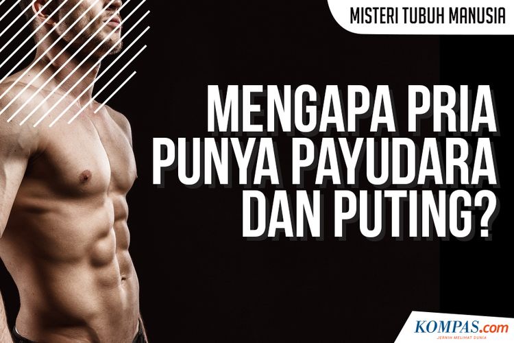 Mengapa Pria Punya Payudara dan Puting?