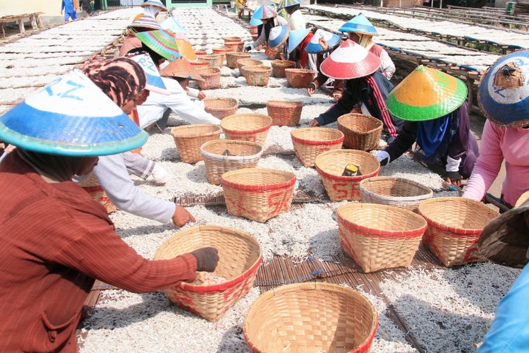 Sejumlah pekerja menyortir kotoran yang masih tercampur pada ikan teri asin di Pulau Pasaran Telukbetung Timur, Bandar Lampung, Lampung, Jumat, (28/7/2017). Produksi ikan teri asin setempat menurun akibat melambungnya harga garam dari Rp 60 ribu per karung menjadi Rp 250 ribu per karung. 