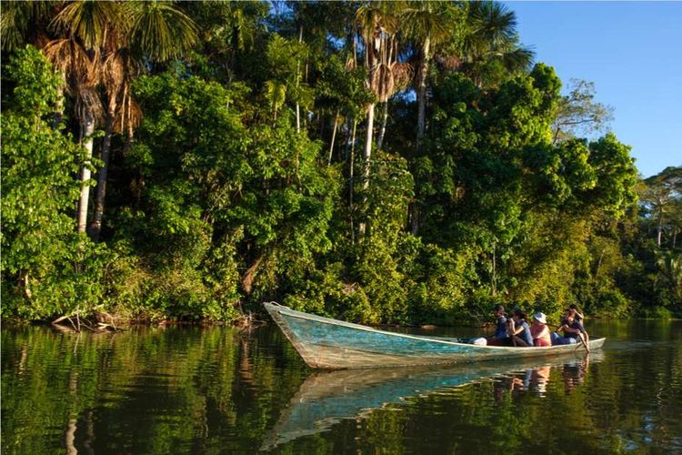 Kawasan Madre de Dios di Peru sekitar 2013.