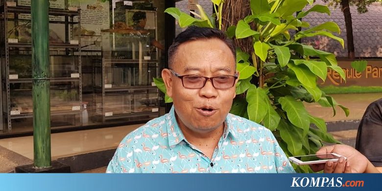 Tak Hanya Keringanan, Manajemen TMII Minta Bebas Pajak