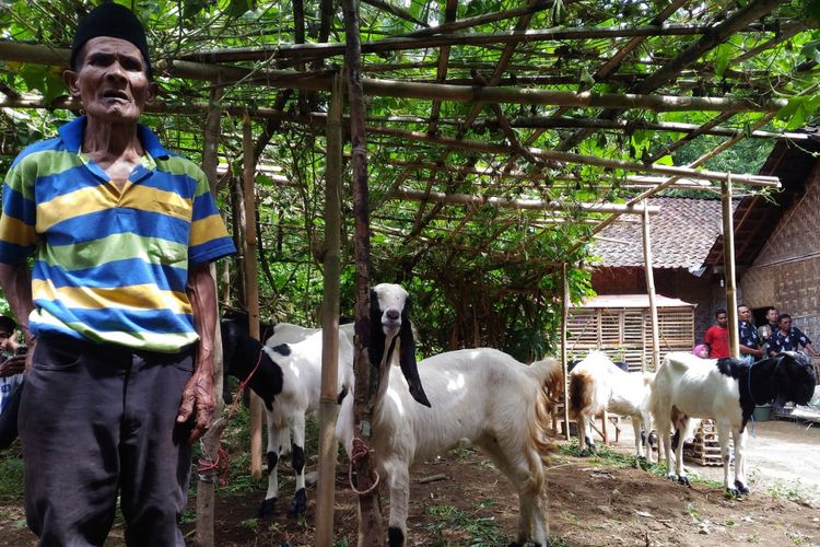 Kementerian Pertanian memberikan bantuan kambing untuk setiap rumah tangga miskin di Kabupaten Bondowoso, Jawa Timur, Selasa (22/5/2018). Bantuan itu terkait program Bedah Kemiskinan, Rakyat Sejahtera untuk mengurangi angka kemiskinan.