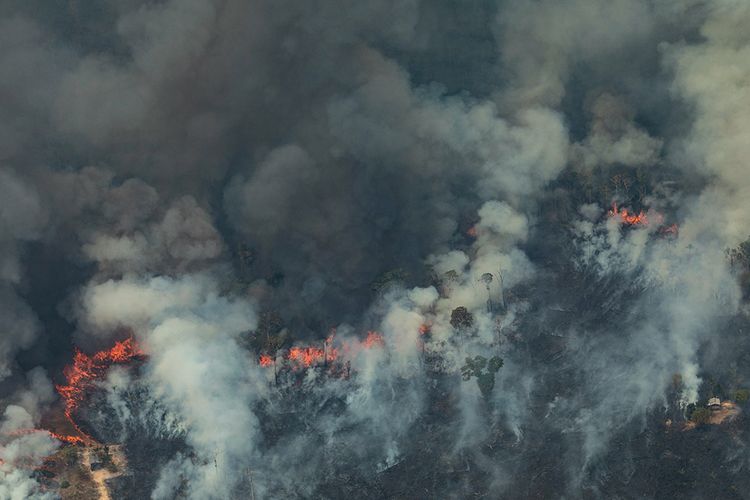 Foto udara menunjukkan asap mengepul dari kebakaran hutan di Kota Candeias do Jamari, Amazon, Brasil, Sabtu (24/8/2019). Kebakaran hutan Amazon menjadi sorotan dunia setelah api yang menjalar di paru-paru dunia itu mencapai 18.627 kilometer persegi tahun ini, dengan 76.720 kebakaran terjadi dari Januari-Agustus.
