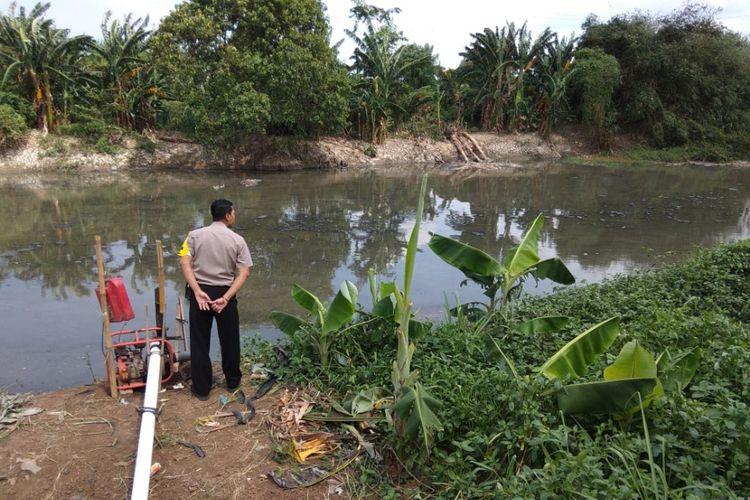 Pihak Polsek Tambun saat mengecek keberadaan buaya panjang 2 meter di Kali CBL yang meresahkan warga desa Srijaya, Tambun Utara, Kabupaten Bekasi, Rabu (2/1/2019). 