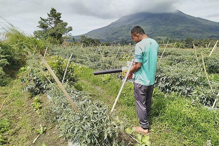 Seorang petani melakukan penyedotan debu erupsi Gunung Sinabung dengan alat bantu 