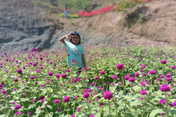Seorang anak berada di Taman Bunga Geunie, Kecamatan Tangse, Kabupaten Pidie, Minggu (7/7/2019)
